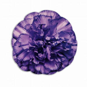 Tovaglietta Tonda Bouquet Garden – Fiore Viola
